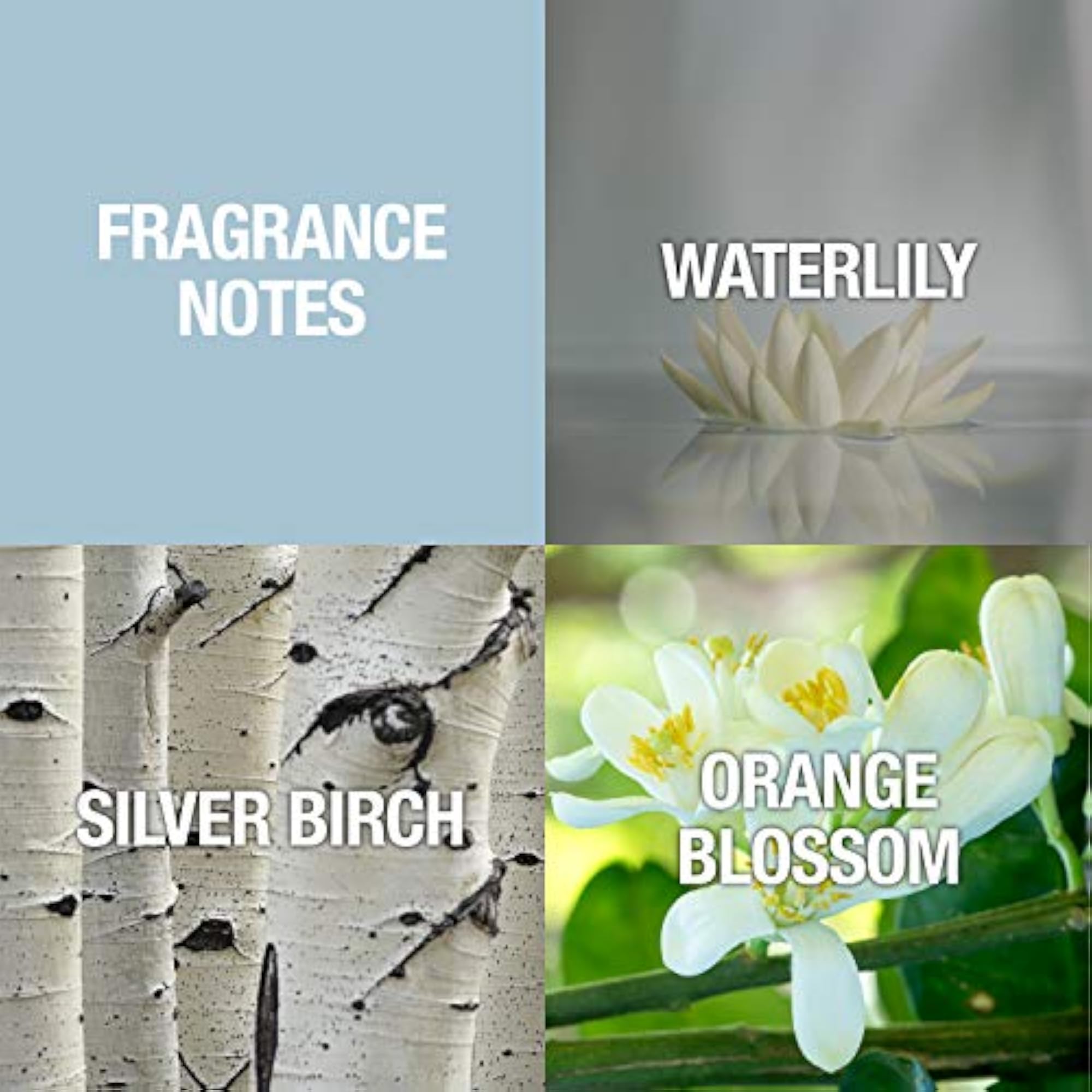 Shi Eau De Parfum Spray for Women, 50ml